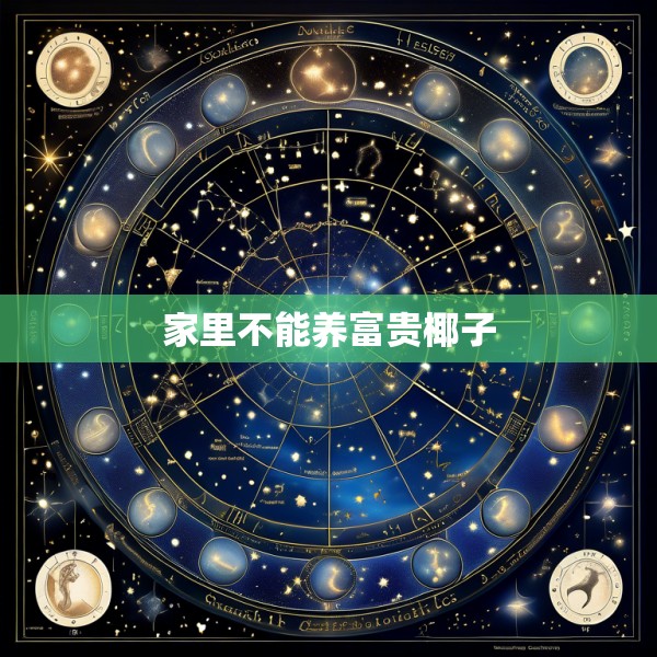 家里不能养富贵椰子