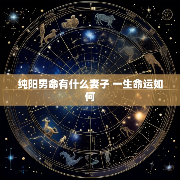 纯阳男命有什么妻子 一生命运如何