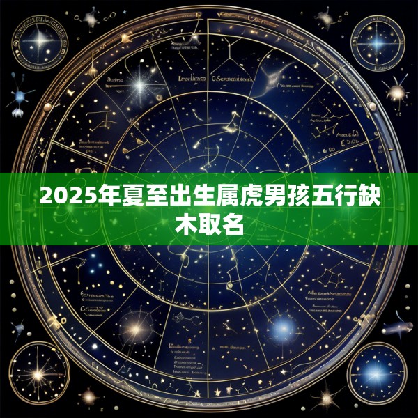 2025年夏至出生属虎男孩五行缺木取名