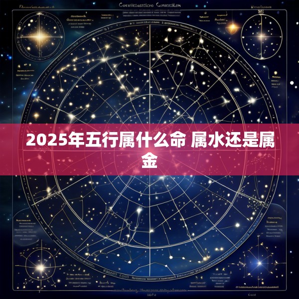 2025年五行属什么命 属水还是属金