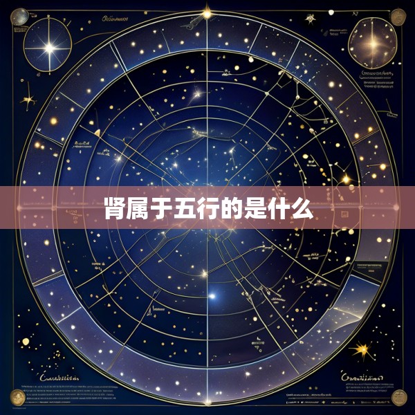 肾属于五行的是什么