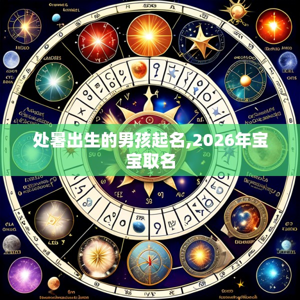 处暑出生的男孩起名,2026年宝宝取名