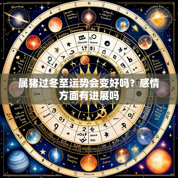 属猪过冬至运势会变好吗?感情方面有进展吗