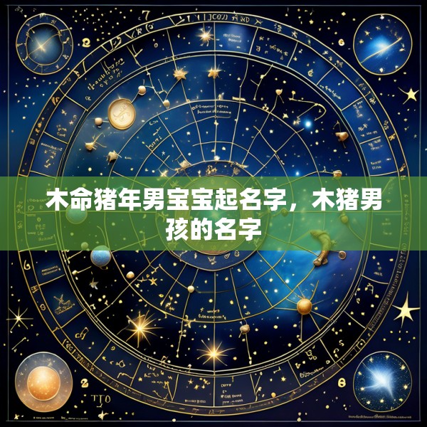木命猪年男宝宝起名字,木猪男孩的名字
