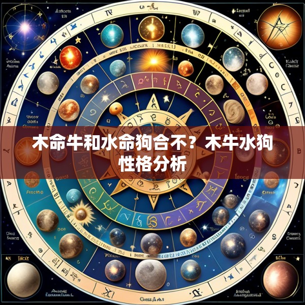 木命牛和水命狗合不？木牛水狗性格分析