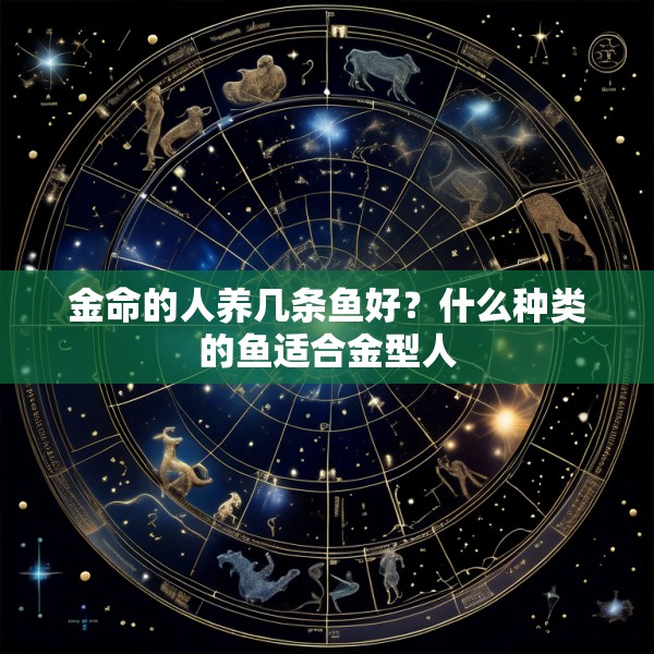 金命的人养几条鱼好？什么种类的鱼适合金型人