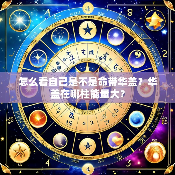 怎么看自己是不是命带华盖?华盖在哪柱能量大?