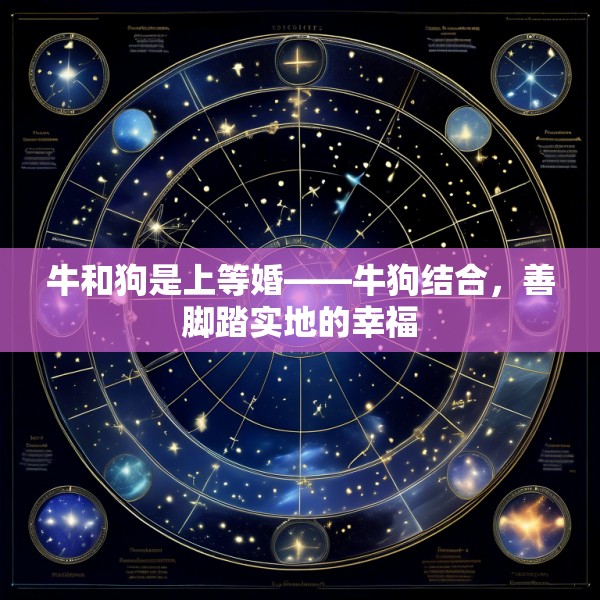 牛和狗是上等婚——牛狗结合，善脚踏实地的幸福