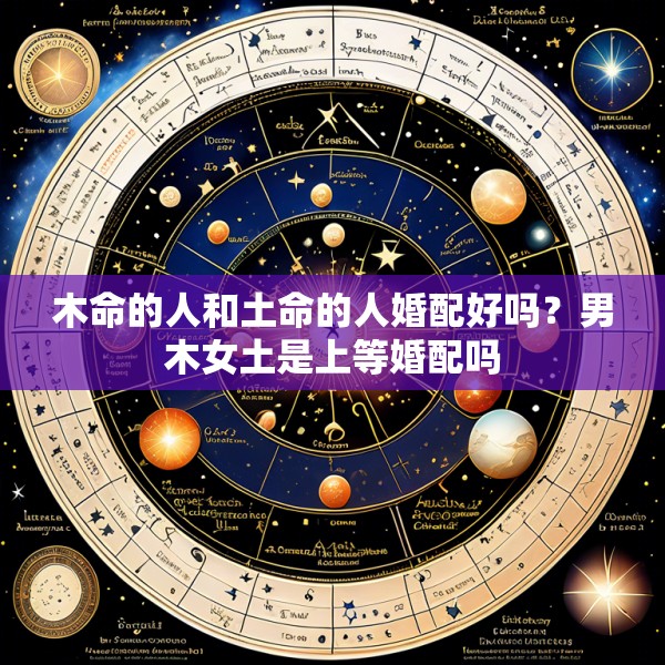 木命的人和土命的人婚配好吗？男木女土是上等婚配吗