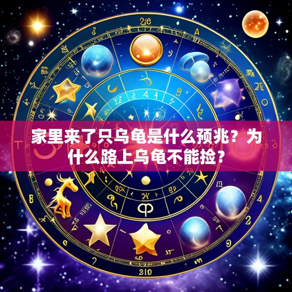 家里来了只乌龟是什么预兆？为什么路上乌龟不能捡？