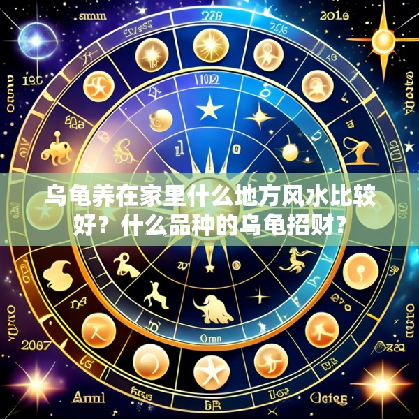 乌龟养在家里什么地方风水比较好?什么品种的乌龟招财?