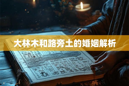 大林木和路旁土的婚姻解析