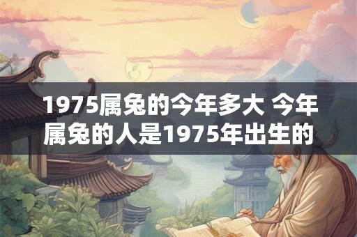 1975属兔的今年多大 今年属兔的人是1975年出生的吗