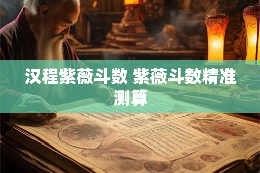 汉程紫薇斗数 紫薇斗数精准测算