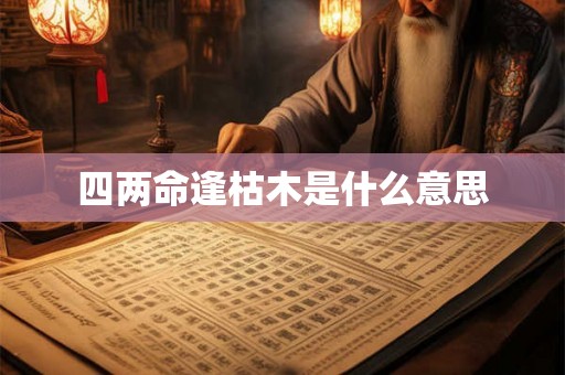 四两命逢枯木是什么意思