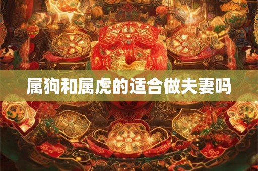 属狗和属虎的适合做夫妻吗