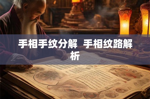 手相手纹分解  手相纹路解析