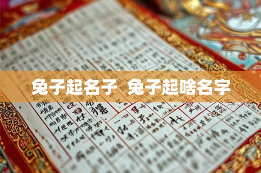兔子起名子  兔子起啥名字