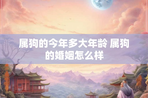 属狗的今年多大年龄 属狗的婚姻怎么样