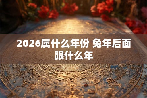 2026属什么年份 兔年后面跟什么年