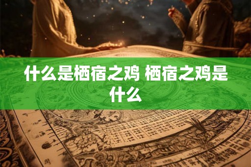 什么是栖宿之鸡 栖宿之鸡是什么