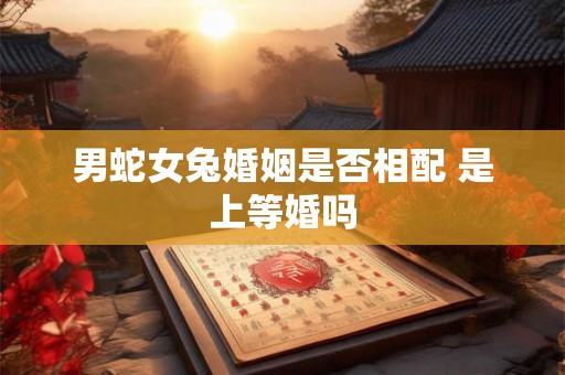 男蛇女兔婚姻是否相配 是上等婚吗 男蛇女兔婚姻是否相配 是上等婚吗