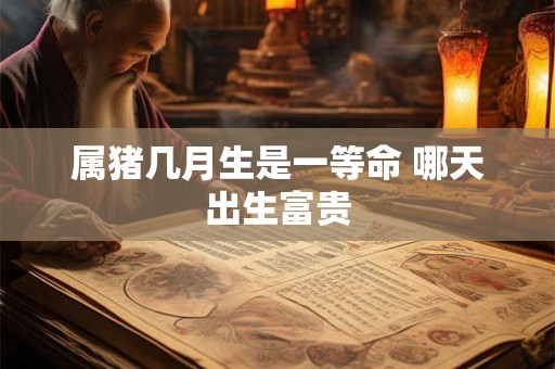 属猪几月生是一等命 哪天出生富贵