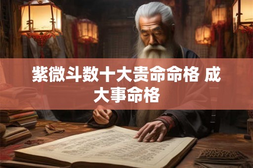 紫微斗数十大贵命命格 成大事命格