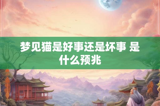 梦见猫是好事还是坏事 是什么预兆