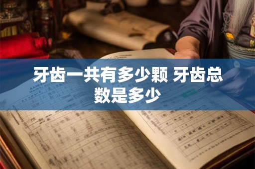 牙齿一共有多少颗 牙齿总数是多少