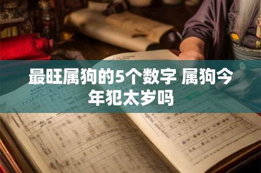 最旺属狗的5个数字 属狗今年犯太岁吗